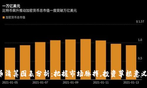 虚拟币清算图表分析：把握市场脉搏，投资草根意义何在？