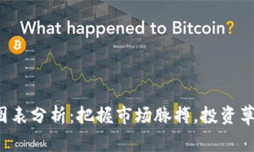 虚拟币清算图表分析：把握市场脉搏，投资草根意义何在？