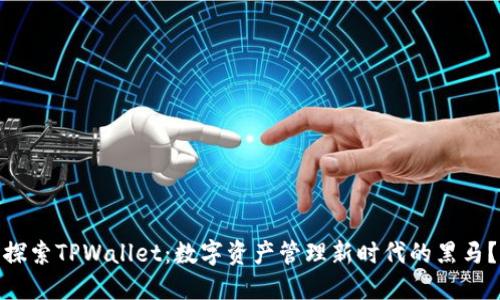 探索TPWallet：数字资产管理新时代的黑马？