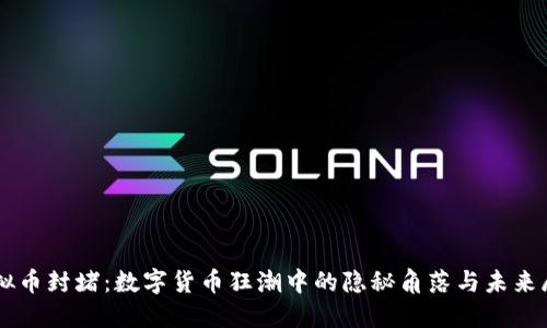 虚拟币封堵：数字货币狂潮中的隐秘角落与未来展望
