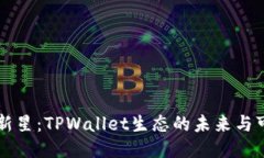 币圈新星：TPWallet生态的未