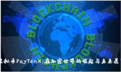 虚拟币PayTenX：在加密世界