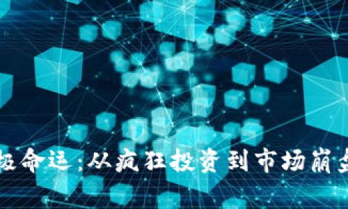 虚拟币的终极命运：从疯狂投资到市场崩盘的背后故事