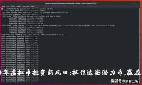 2024年虚拟币投资新风口：抓住这些潜力币，赢在未来！