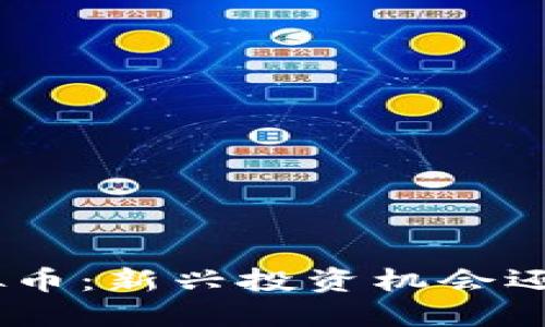 MIC虚拟币：新兴投资机会还是泡沫？