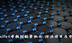 如何在TPWallet中找到投资机