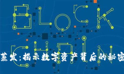 虚拟币蒸发：揭示数字资产背后的秘密与风险