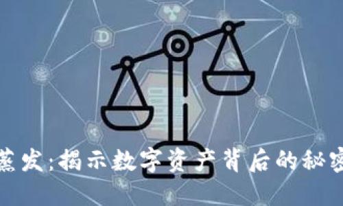 虚拟币蒸发：揭示数字资产背后的秘密与风险