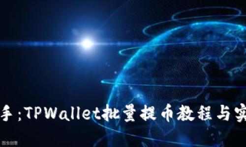 轻松上手：TPWallet批量提币教程与实用技巧