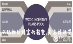 虚拟币：从玩物到财富的