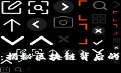 FPX虚拟币：揭秘区块链背