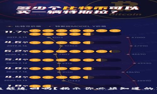 虚拟币钱包被盗能追回吗？揭示你必须知道的真相与应对策略