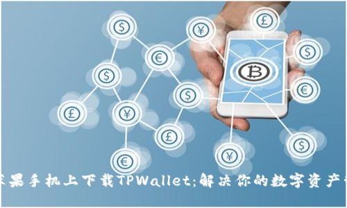 如何在苹果手机上下载TPWallet：解决你的数字资产管理难题