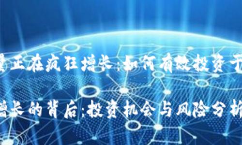 虚拟货币的数量正在疯狂增长：如何有效投资于数字货币资产？

虚拟货币数量增长的背后：投资机会与风险分析