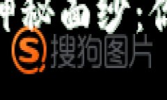 揭开虚拟币钱包的神秘面