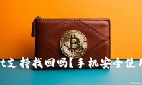 tpwallet支持找回吗？手机安全使用全攻略