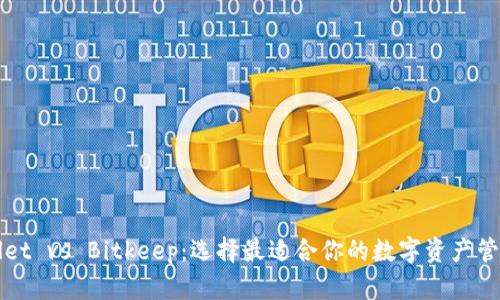 TPWallet vs Bitkeep：选择最适合你的数字资产管理工具