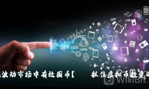 如何在波动市场中有效囤币？——抓住虚拟币投资的机会！