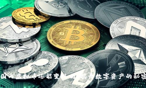 国内虚拟币还能变现吗？揭开数字资产的秘密