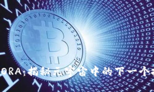 虚拟币BORA：揭秘元宇宙中的下一个投资机会