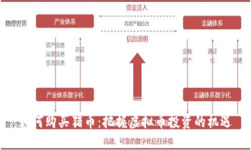 如何购买猪币：把握虚拟币投资的机遇