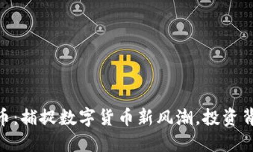 OCX虚拟币：捕捉数字货币新风潮，投资背后的秘密