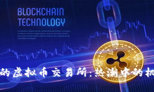 探索台湾的虚拟币交易所：热潮中的机遇与挑战