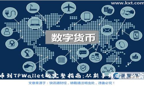 NFT提币到TPWallet的完整指南：从新手到高手的实用教程