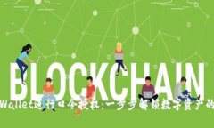 如何使用TPWallet进行口令授