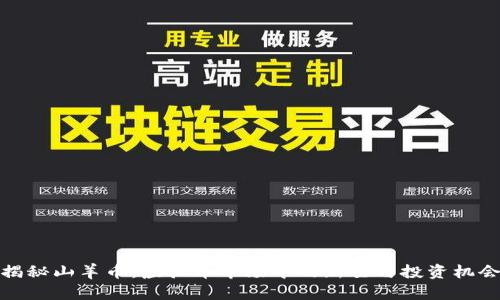 揭秘山羊币：虚拟币市场中的新星与投资机会