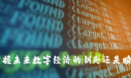 TMTG虚拟币：掌握未来数字经济的钥匙还是瞬息万变的风险？