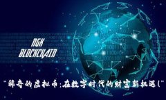 “稀奇的虚拟币：在数字