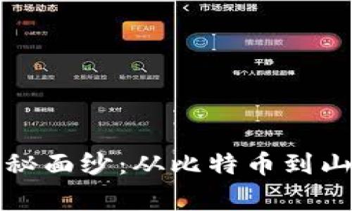 揭开虚拟币的神秘面纱：从比特币到山寨币的全景解析