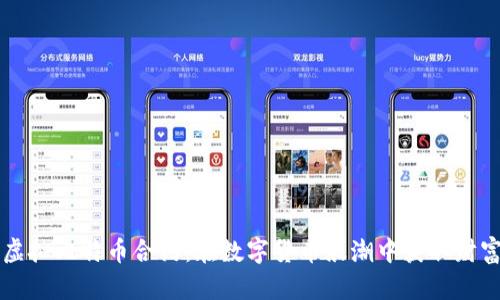 掌握虚拟比特币合约：在数字货币浪潮中获取财富秘籍