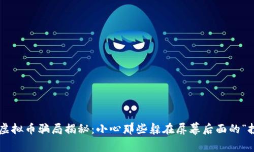 广西北海虚拟币骗局揭秘：小心那些躲在屏幕后面的“投资大师”！