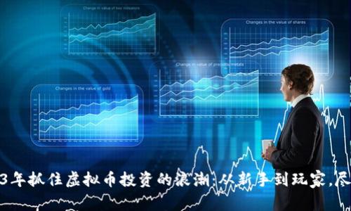 如何在2023年抓住虚拟币投资的浪潮：从新手到玩家，尽享币圈盛宴
