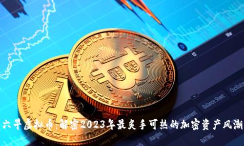 六早虚拟币：解密2023年最炙手可热的加密资产风潮