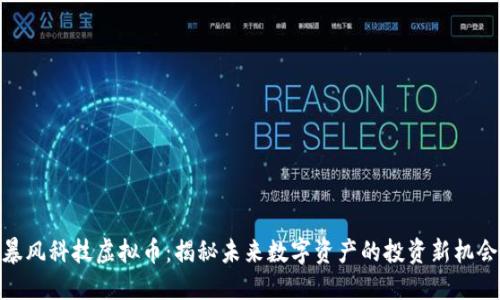 暴风科技虚拟币：揭秘未来数字资产的投资新机会