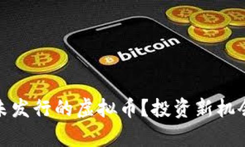 如何购买未发行的虚拟币？投资新机会的利与弊
