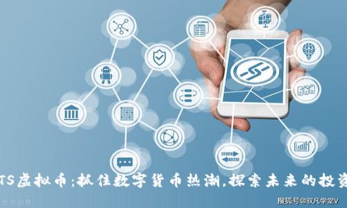 探秘TTS虚拟币：抓住数字货币热潮，探索未来的投资机会！