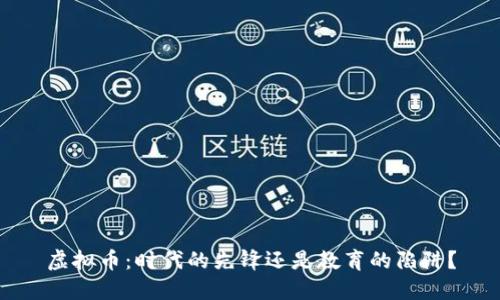虚拟币：时代的先锋还是教育的陷阱？