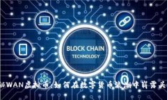 探秘WAN虚拟币：如何在数