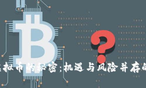 投资DSR虚拟币的秘密：机遇与风险并存的未来之路