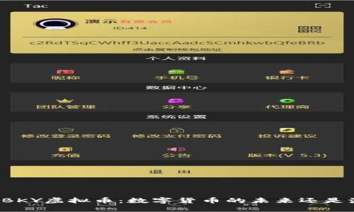 解密BKY虚拟币：数字货币的未来还是泡沫？