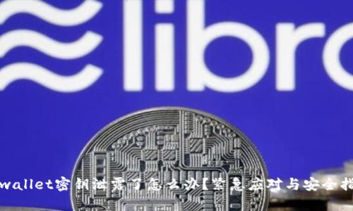 tpwallet密钥泄露了怎么办？紧急应对与安全指南