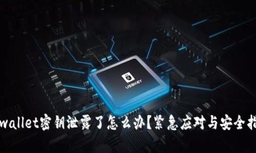 tpwallet密钥泄露了怎么办？紧急应对与安全指南