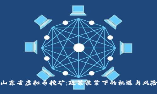 山东省虚拟币挖矿：政策收紧下的机遇与风险