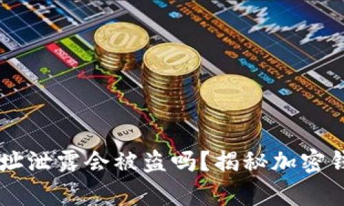 TPWallet地址泄露会被盗吗？揭秘加密钱包安全真相