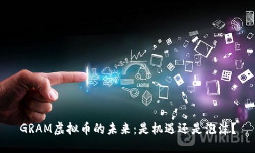 GRAM虚拟币的未来：是机遇还是泡沫？