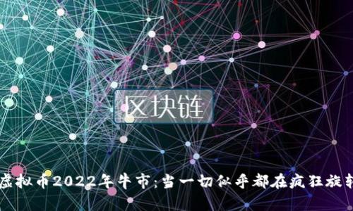 虚拟币2022年牛市：当一切似乎都在疯狂旋转